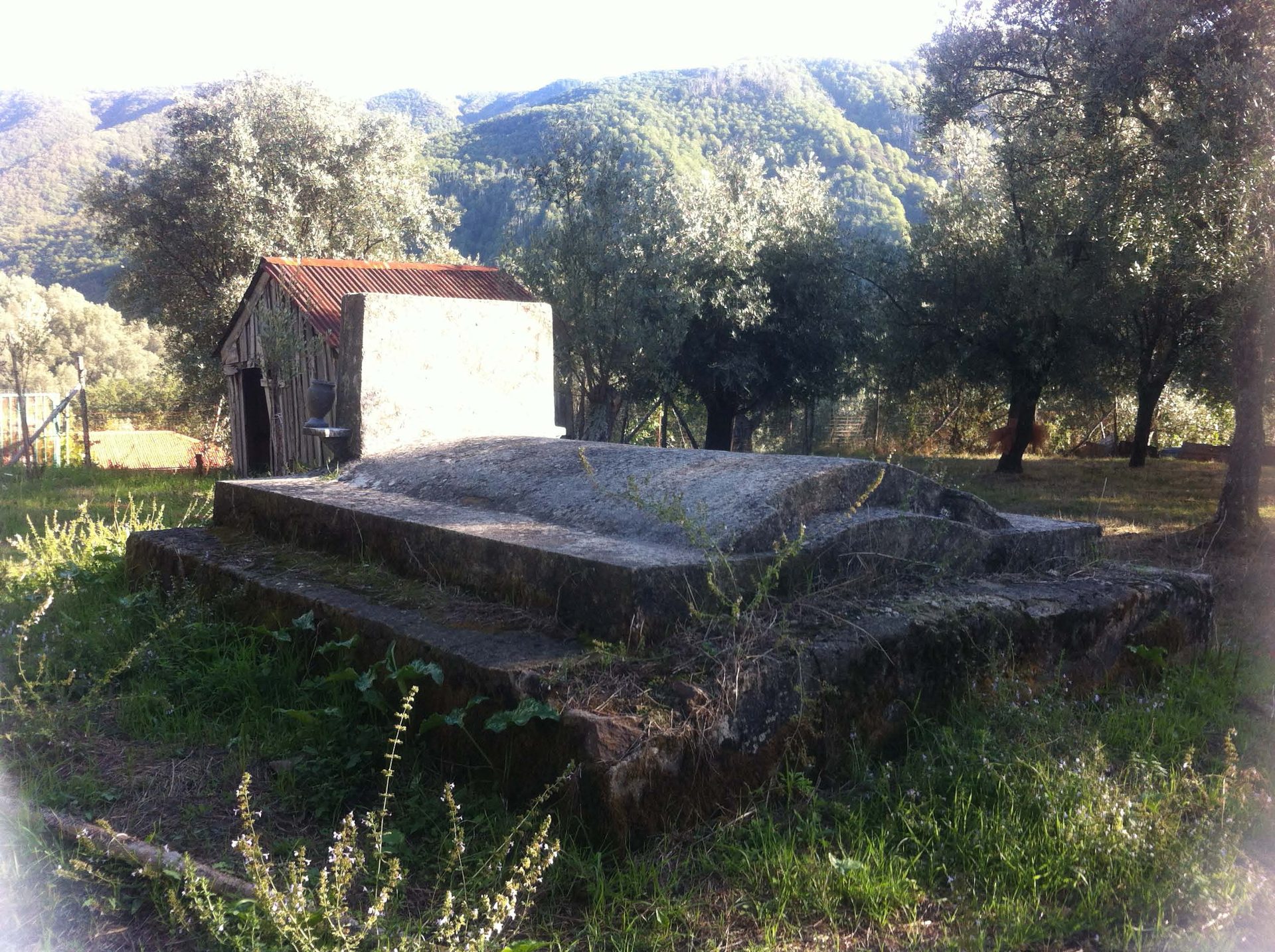 Stefano Romeo's Tomb (6)(1).jpg